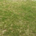 Grass mat 3L
